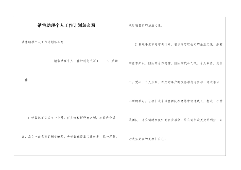销售助理个人工作计划怎么写_第1页
