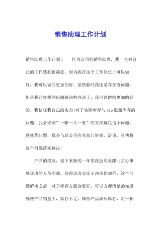 销售助理工作计划
