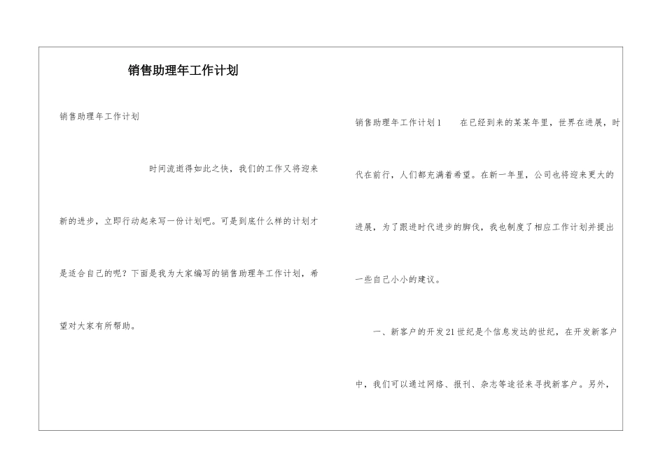 销售助理年工作计划_第1页