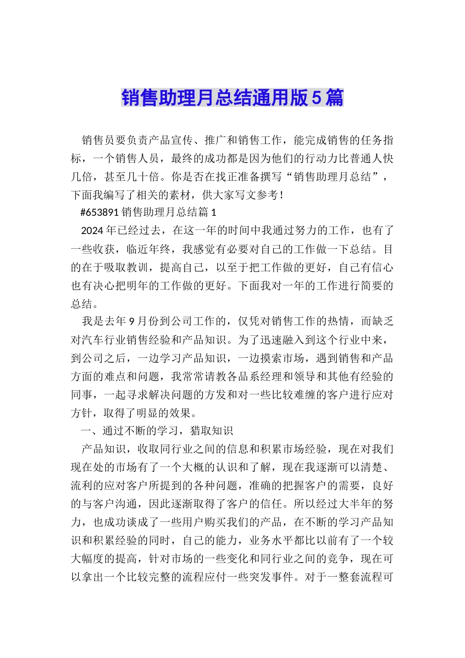 销售助理月总结通用版5篇_第1页