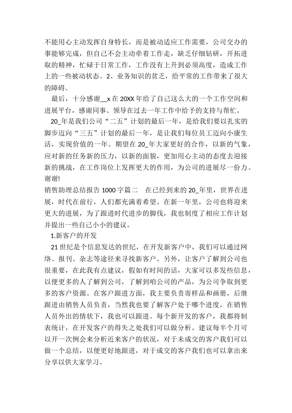销售助理总结报告1000字_第2页