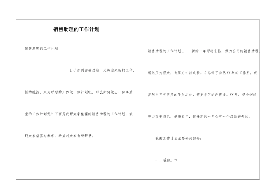 销售助理的工作计划_第1页