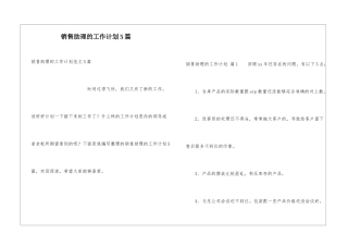 销售助理的工作计划5篇