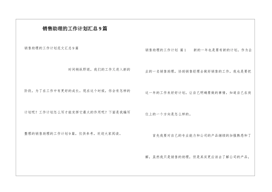 销售助理的工作计划汇总9篇_第1页