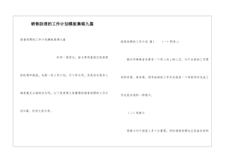 销售助理的工作计划模板集锦九篇
