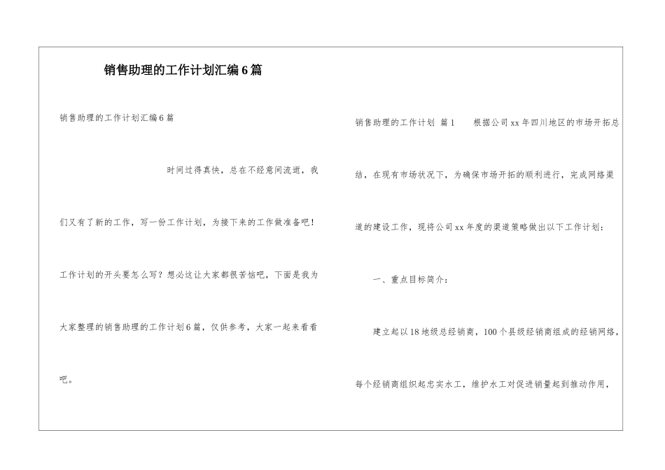 销售助理的工作计划汇编6篇_第1页