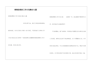 销售助理的工作计划集合九篇