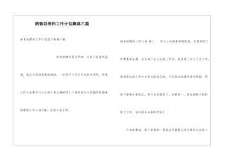 销售助理的工作计划集锦六篇