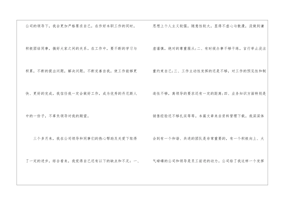 销售助理试用期转正工作总结_第2页