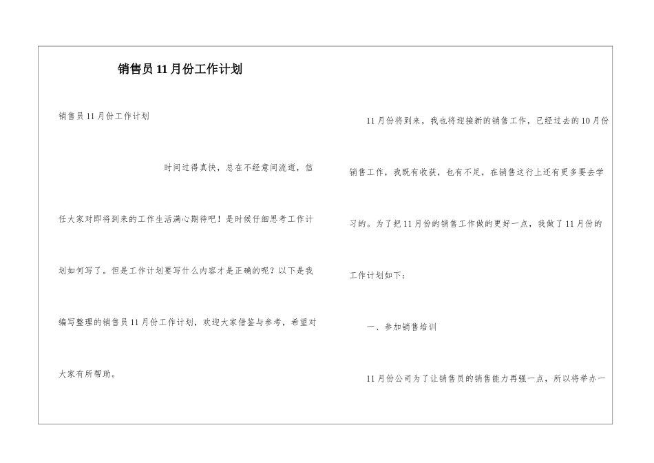 销售员11月份工作计划_第1页
