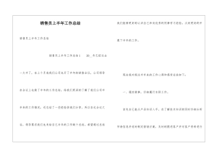 销售员上半年工作总结