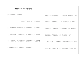 销售员个人半年工作总结