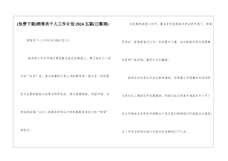 销售员个人工作计划2024五篇