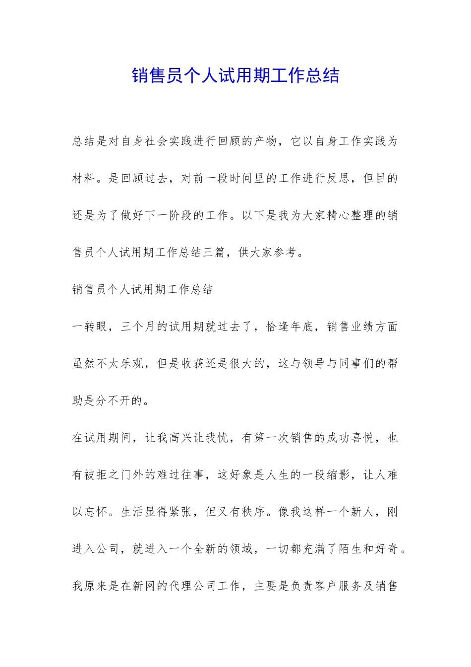 销售员个人试用期工作总结-_第1页