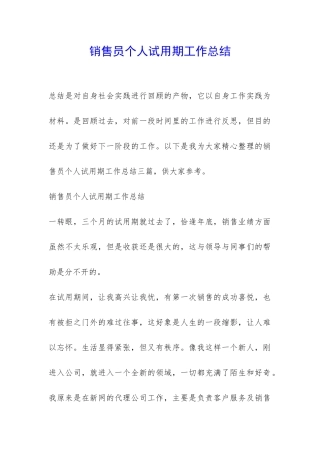 销售员个人试用期工作总结-