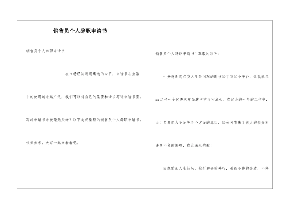 销售员个人辞职申请书_第1页
