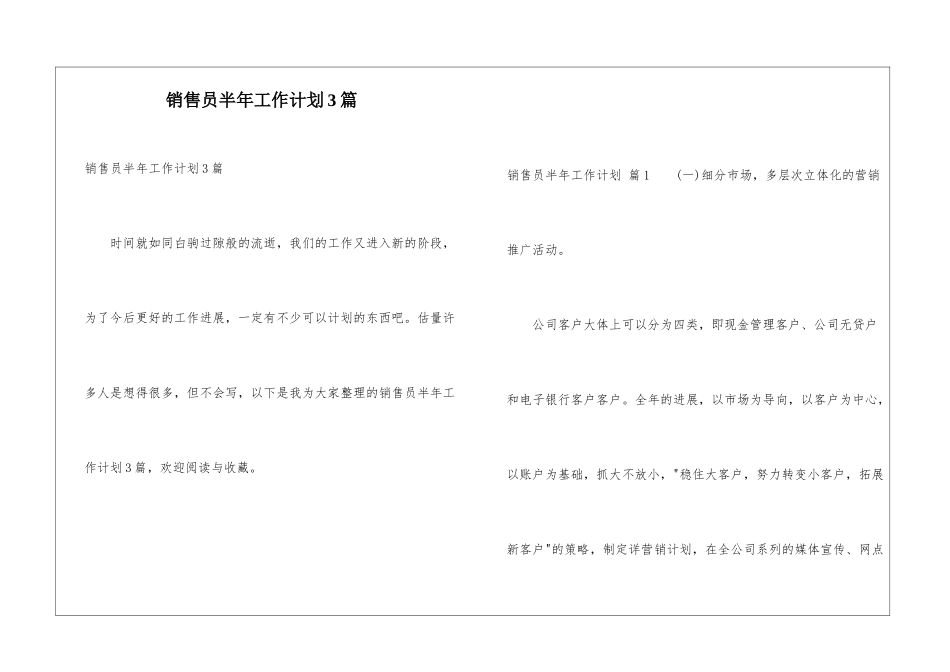 销售员半年工作计划3篇_第1页