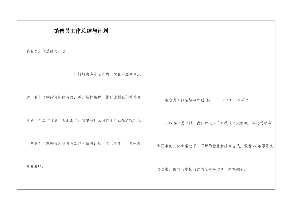 销售员工作总结与计划_第1页