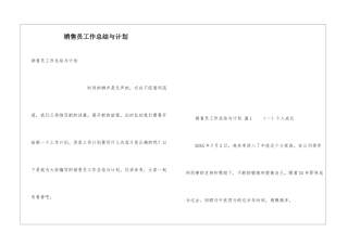销售员工作总结与计划