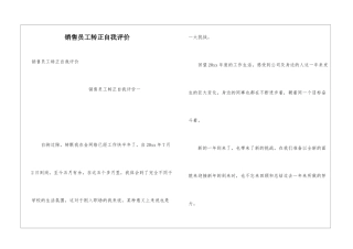 销售员工转正自我评价
