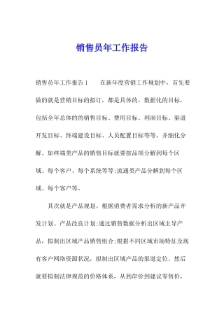 销售员年工作报告
