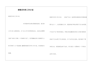销售员年终工作计划