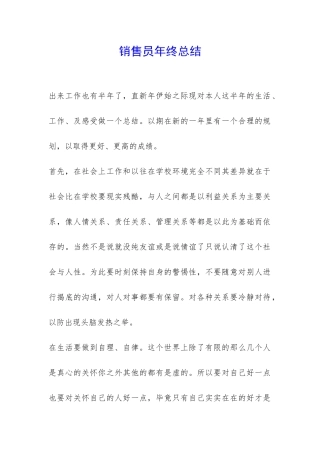 销售员年终总结-