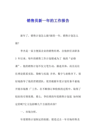 销售员新一年的工作报告