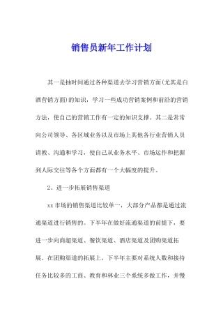 销售员新年工作计划