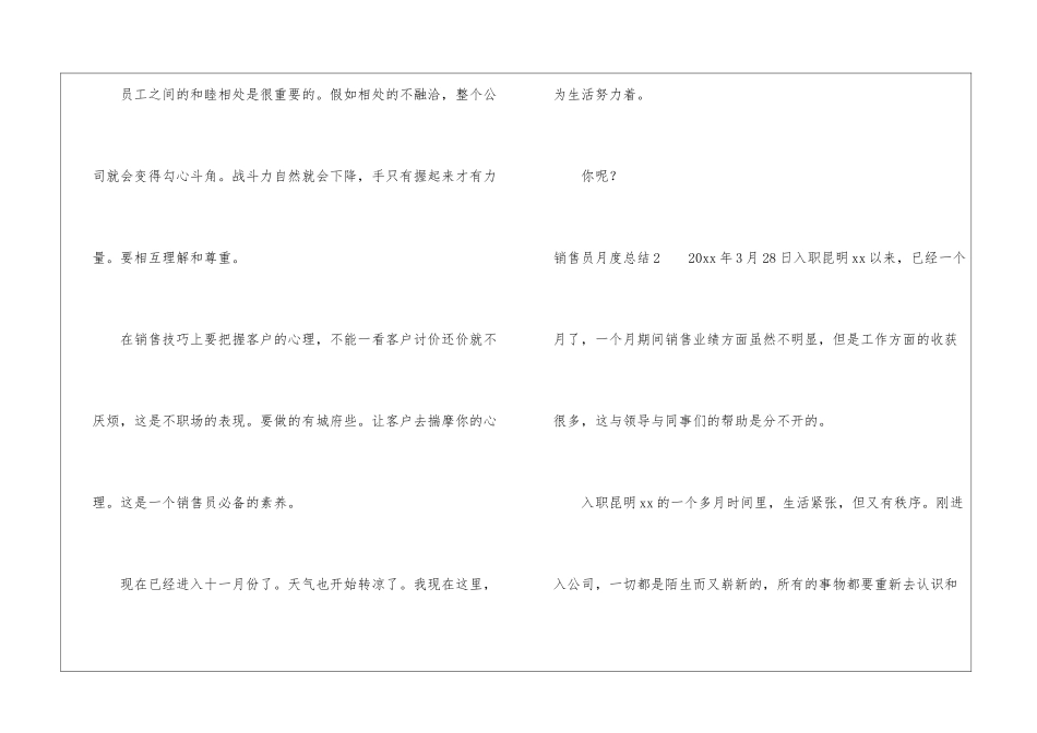 销售员月度总结_第2页
