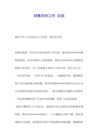 销售员的工作-总结