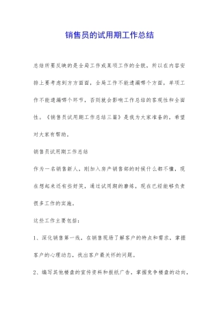 销售员的试用期工作总结-