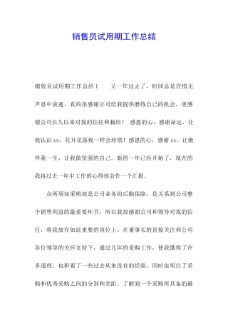 销售员试用期工作总结