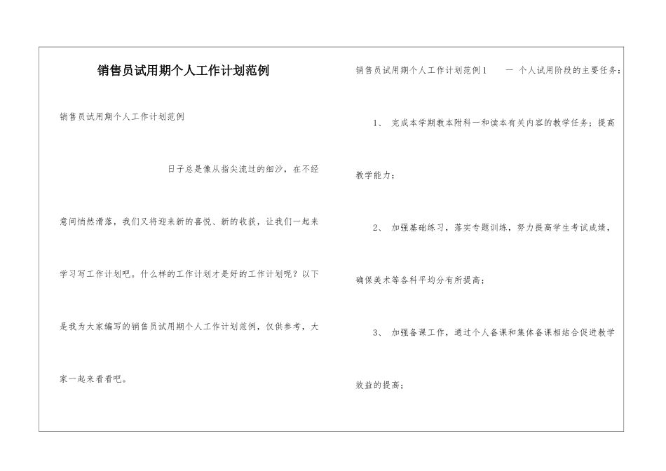 销售员试用期个人工作计划范例_第1页