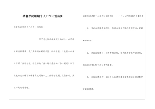 销售员试用期个人工作计划范例