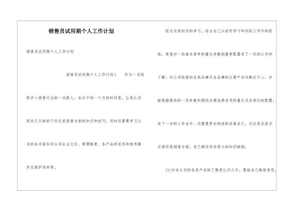 销售员试用期个人工作计划_第1页