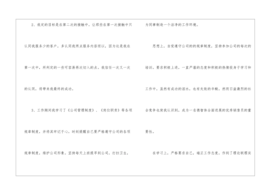 销售员试用期工作总结三篇_第2页