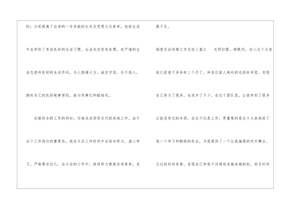 销售员试用期工作总结三篇_第3页