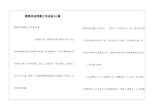销售员试用期工作总结15篇