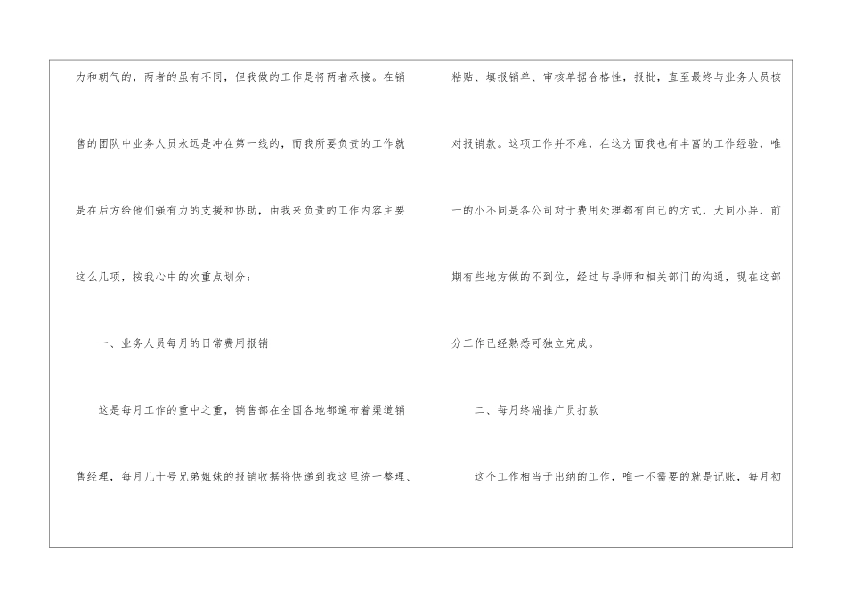 销售员试用期的工作总结5篇_第2页
