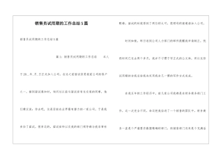 销售员试用期的工作总结5篇