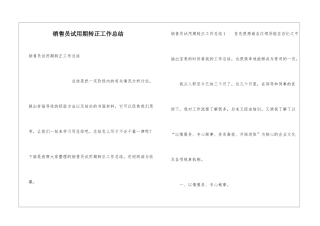 销售员试用期转正工作总结