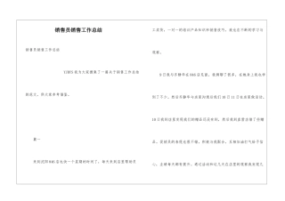销售员销售工作总结