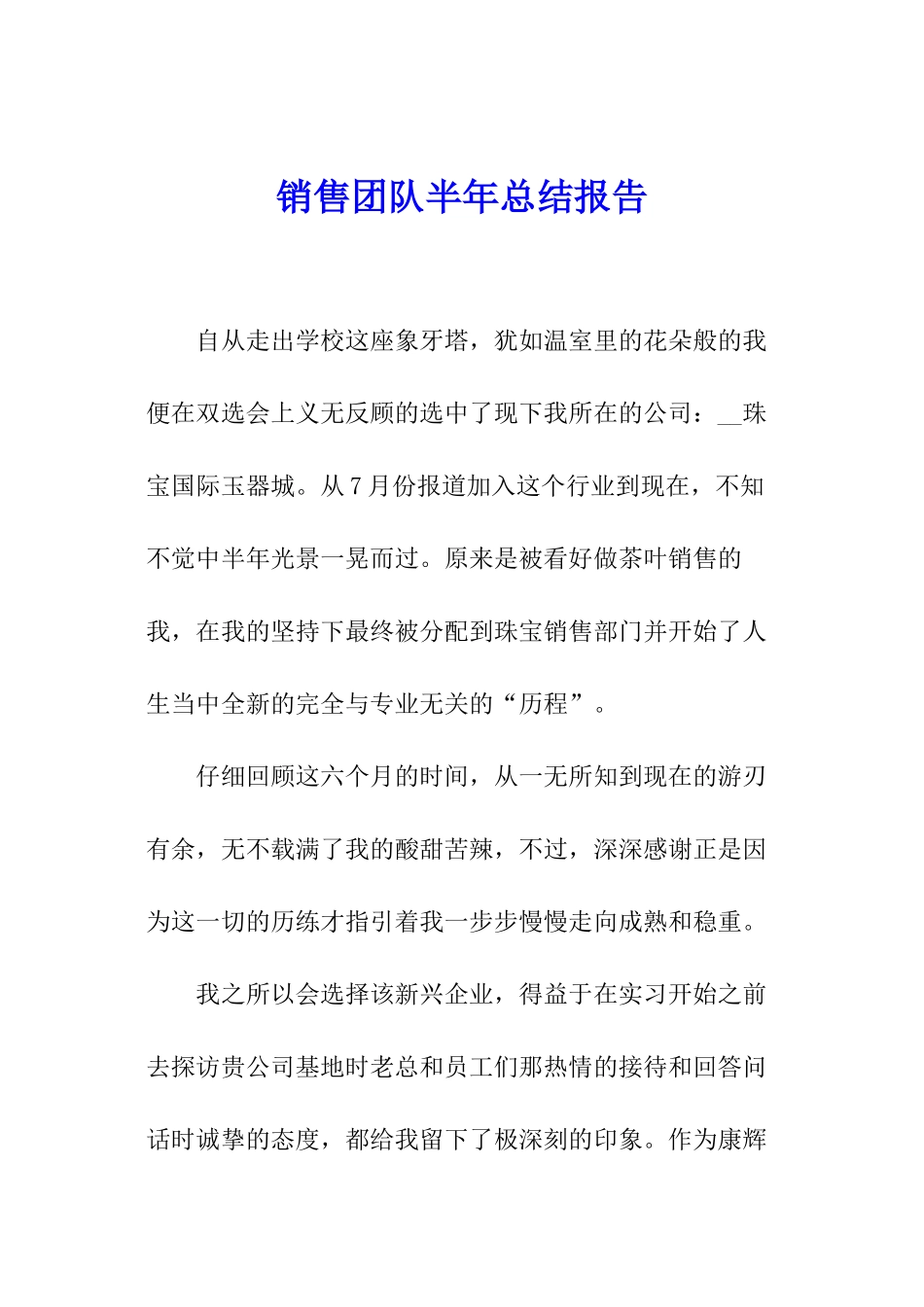 销售团队半年总结报告_第1页