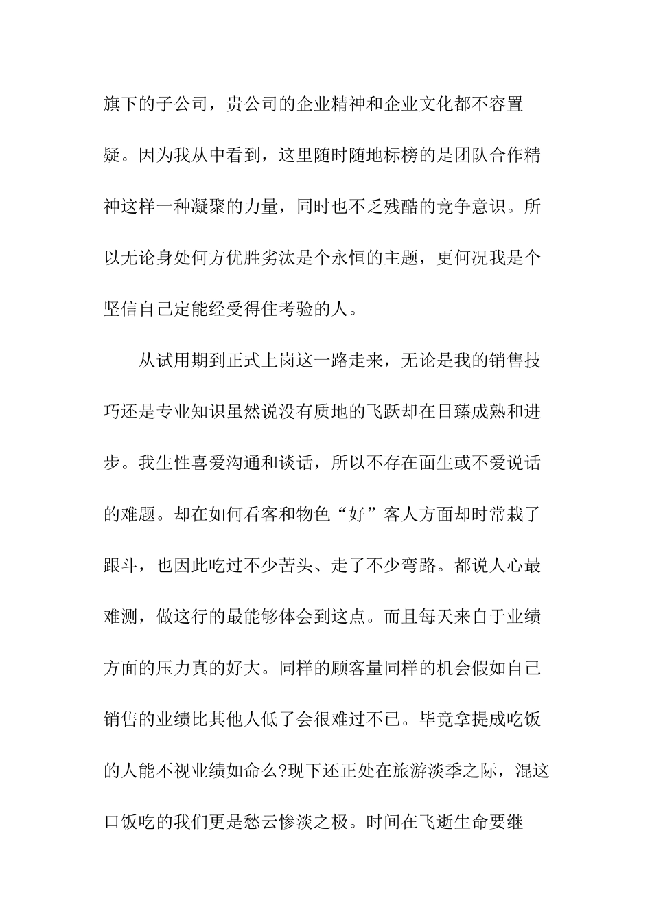 销售团队半年总结报告_第2页