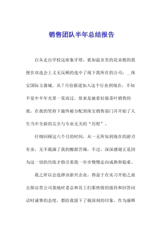 销售团队半年总结报告