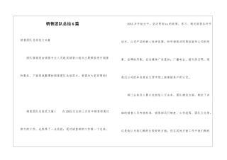 销售团队总结6篇