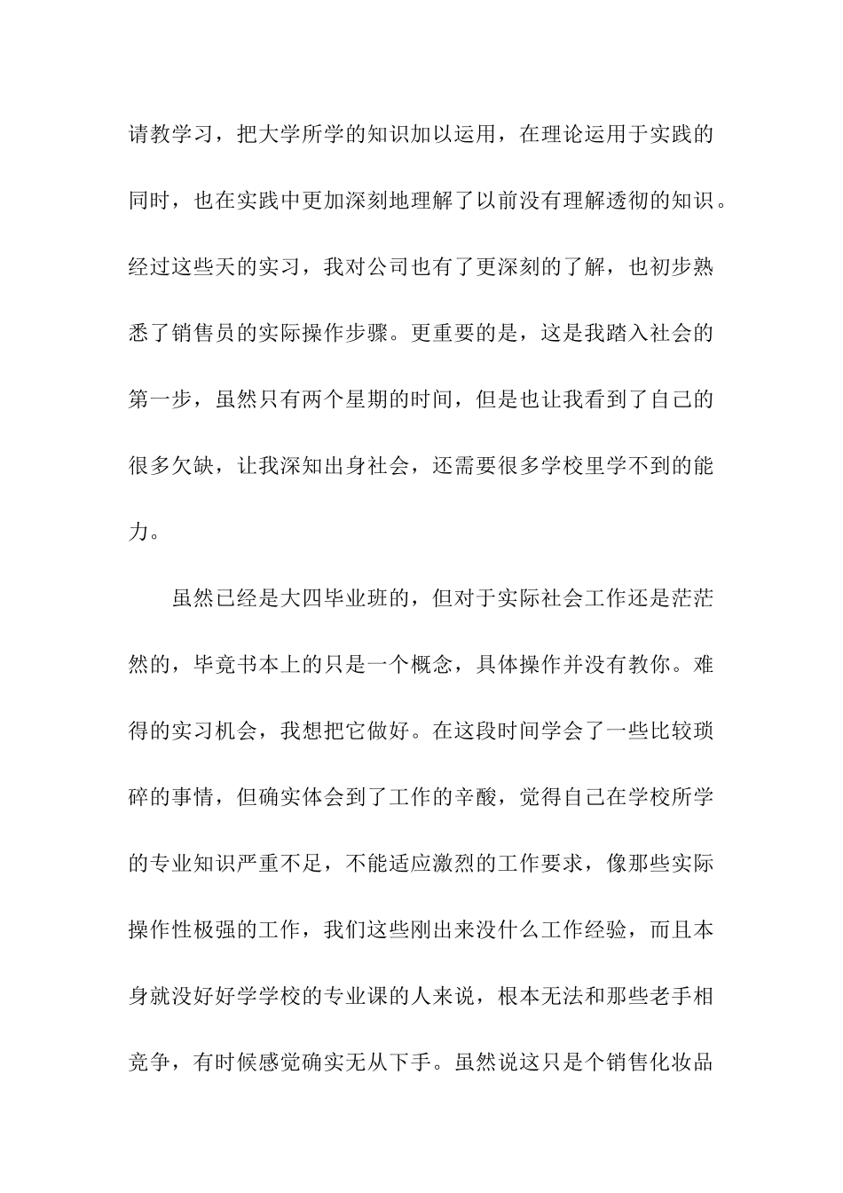 销售实习生实习总结_第3页