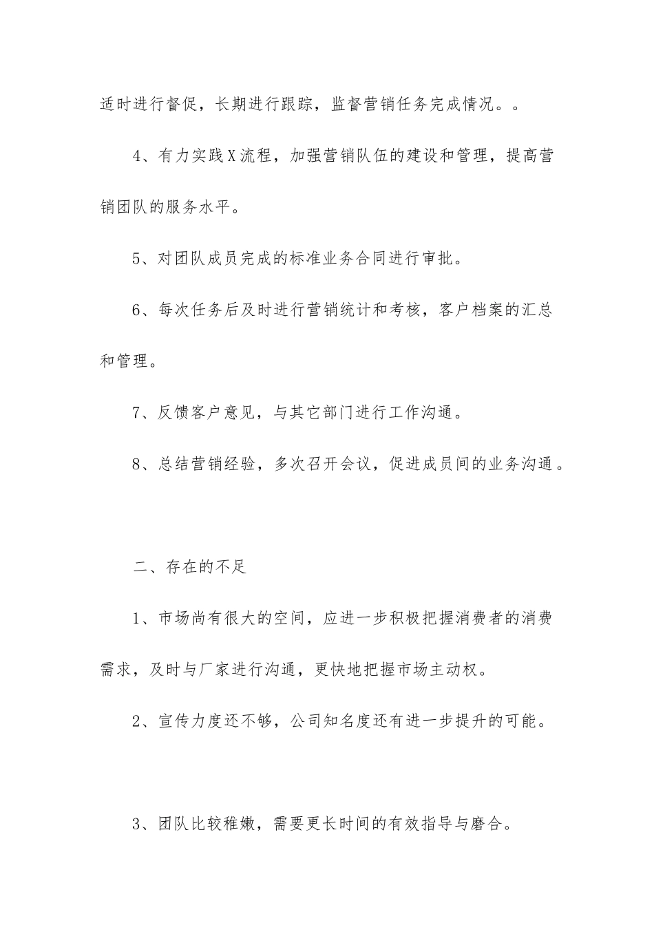 销售总监工作总结(推荐6篇)_第2页