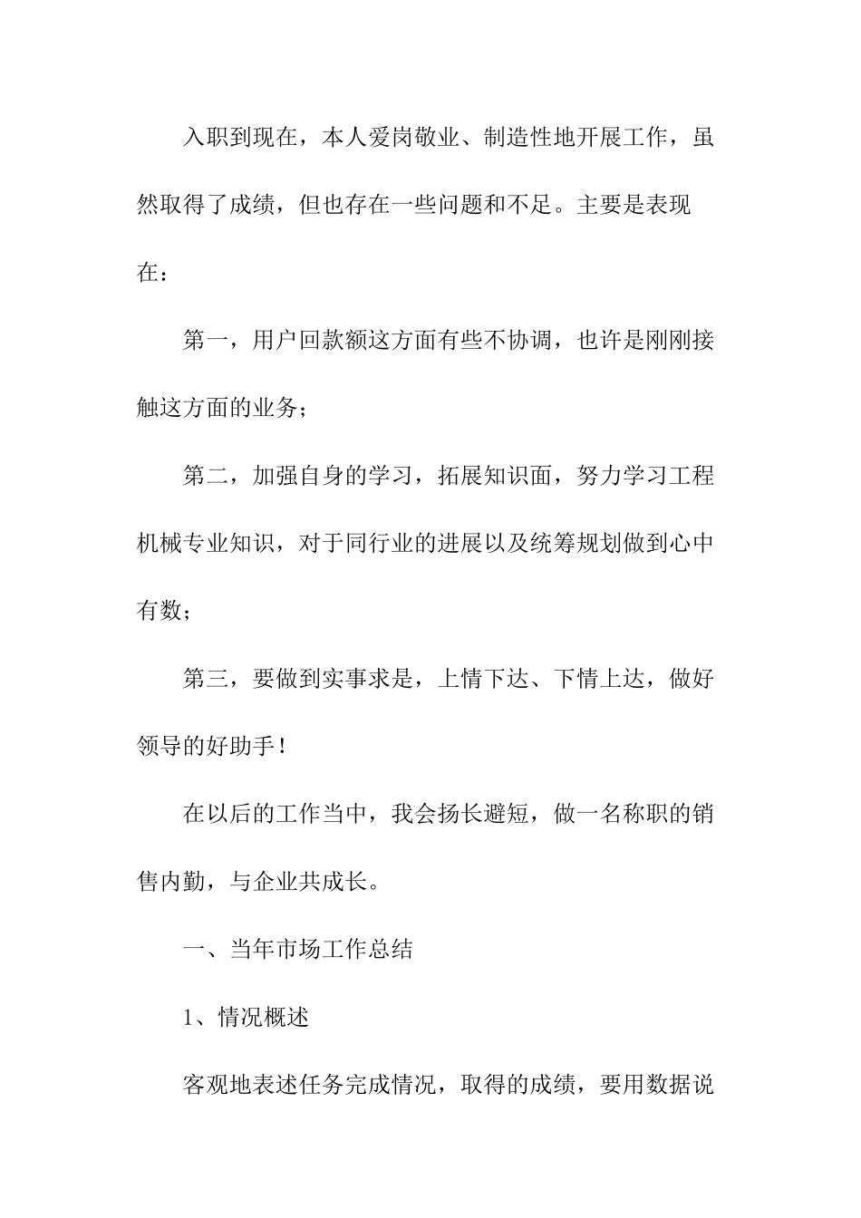 销售总监年中个人总结_第3页